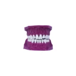 دينتيك لطب الأسنان، موديل 01