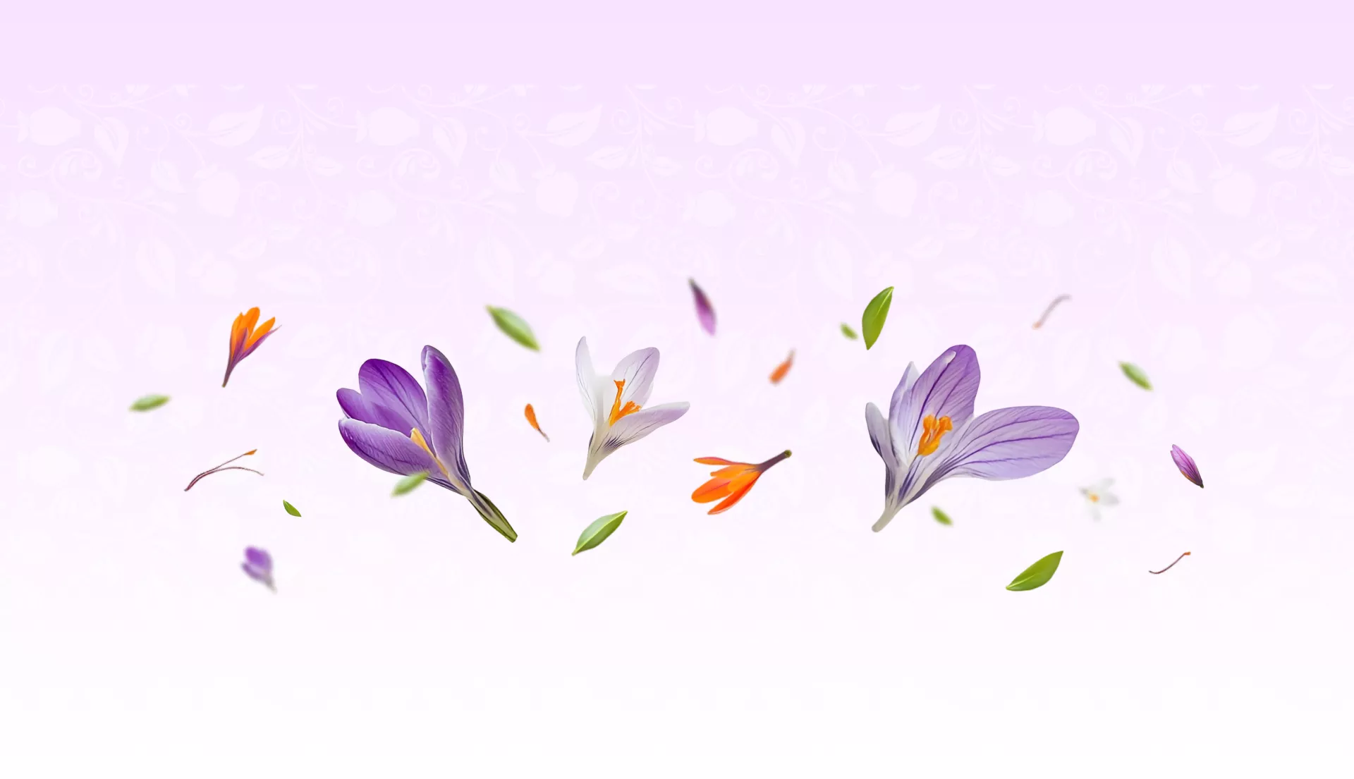 background saffron